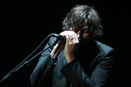 the wombats
